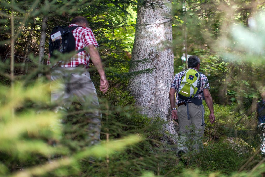 Alpirspbacher Tourentipp AugenBlick-Runde Bad Teinach-Zavelstein