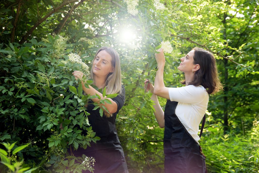 BIODROGA - Kosmetik aus dem Schwarzwald