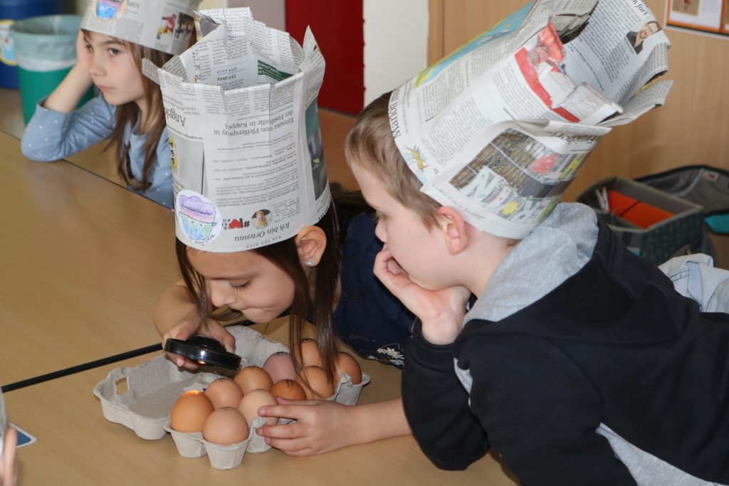 Klima-Kochtheater Krokusschule Bad Teinach-Zavelstein