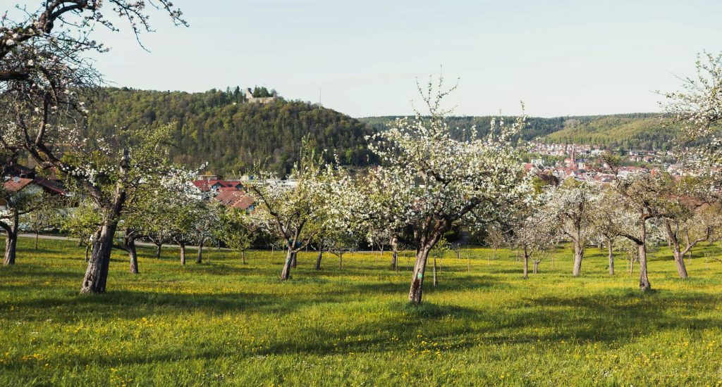 Aktionswochenende der Schwarzwald-Guides 31. März bis 2. April