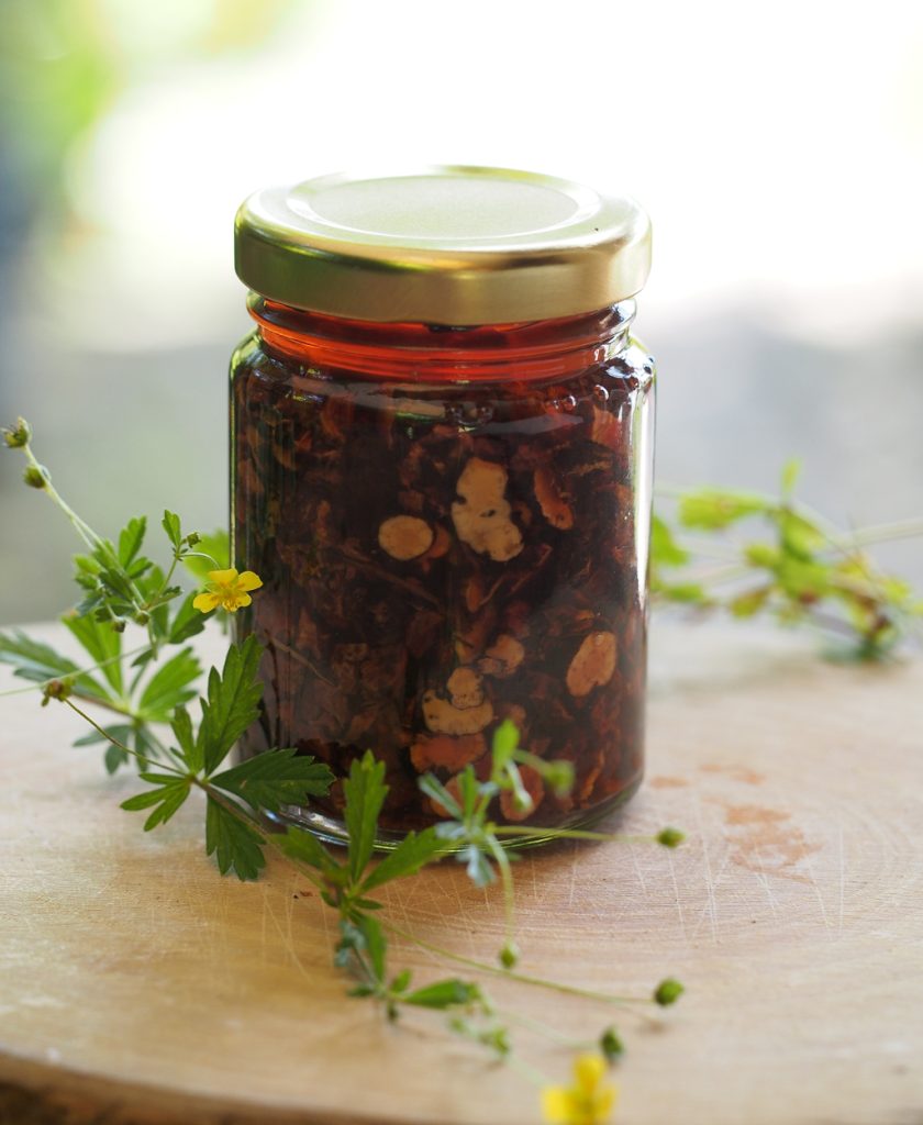 Kräuterwissen - Blutwurz