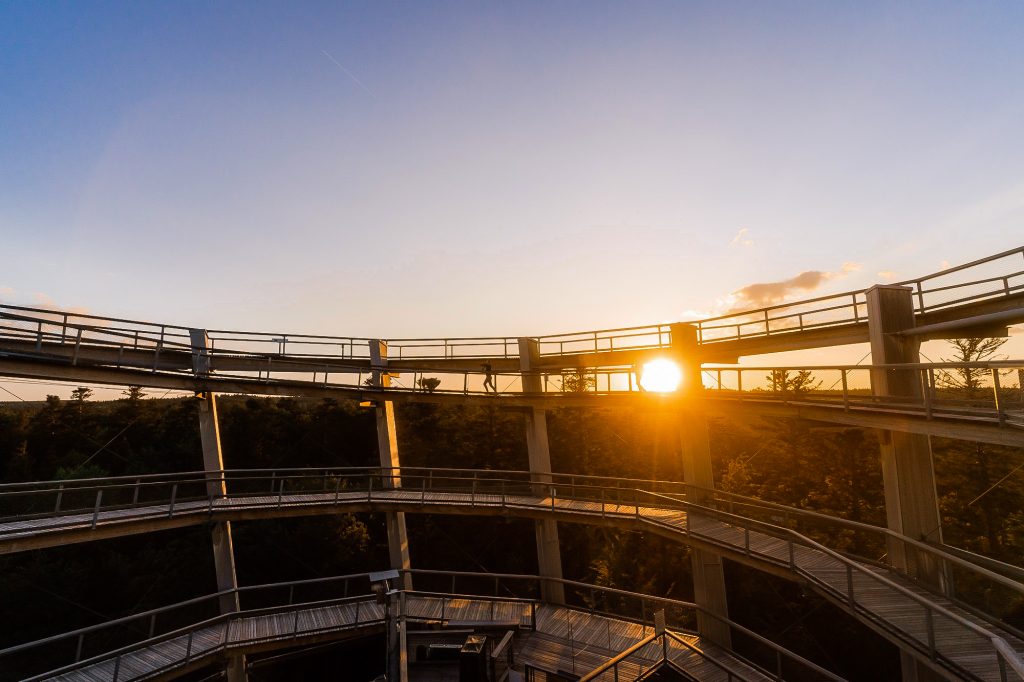 Sonnenuntergang auf dem Baumwipfelpfad