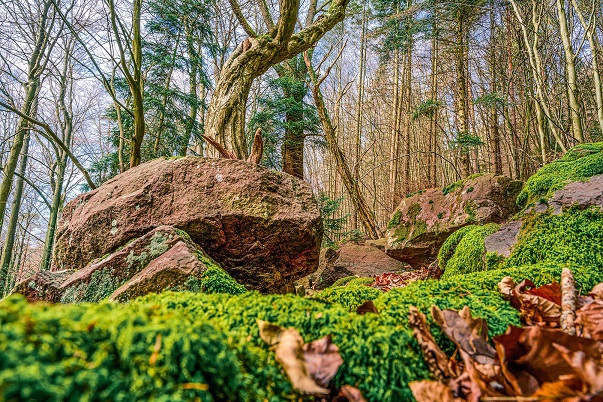 AOK-Gesundheitstipp: Nachhaltig und gesünder leben