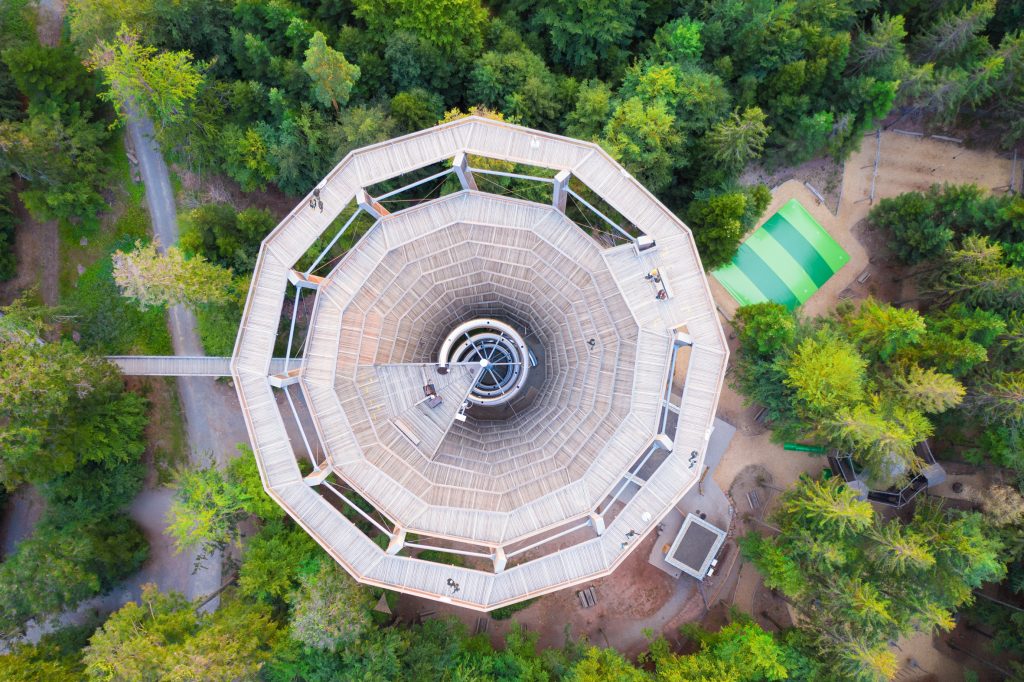 Sonnenuntergang auf dem Baumwipfelpfad