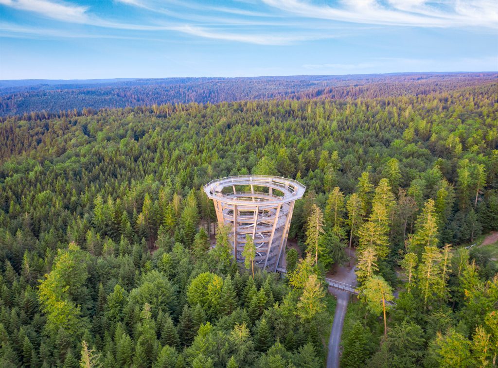 Sonnenuntergang auf dem Baumwipfelpfad