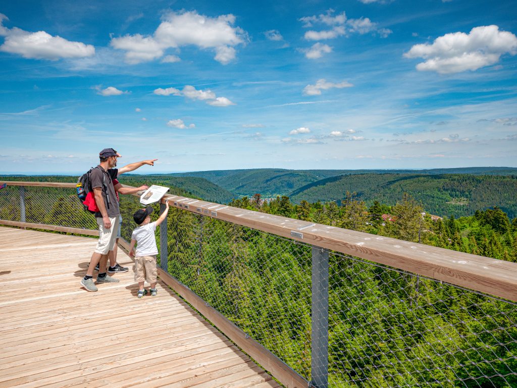 Sonnenuntergang auf dem Baumwipfelpfad