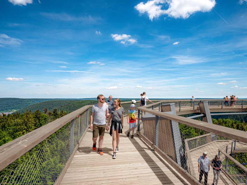 Sonnenuntergang auf dem Baumwipfelpfad