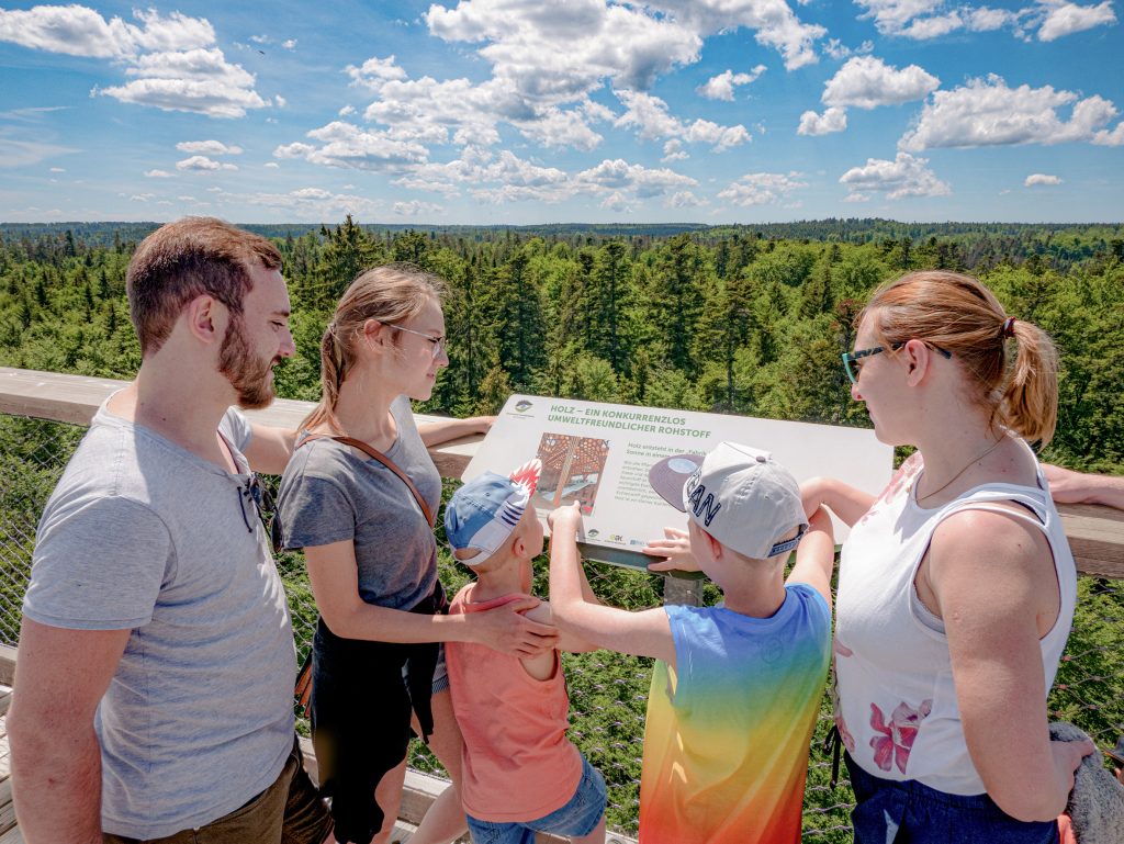 Sonnenuntergang auf dem Baumwipfelpfad