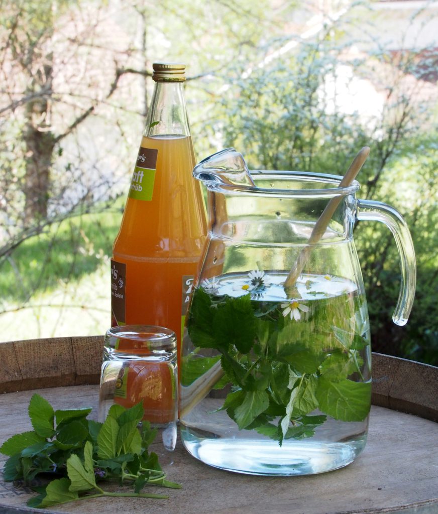 Monika Wurft - Doldenblütler