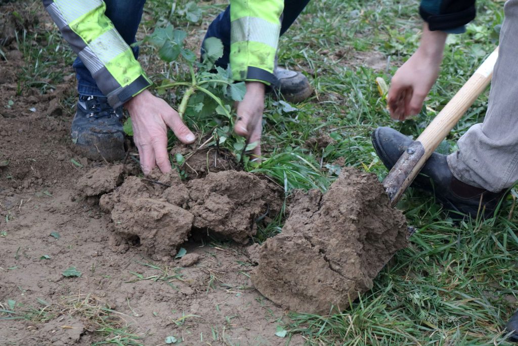 Mitgliederversammlung Naturpark Schwarzwald Mitte/Nord 2023
