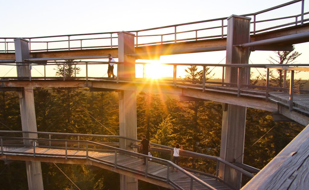 Sonnenuntergang auf dem Baumwipfelpfad