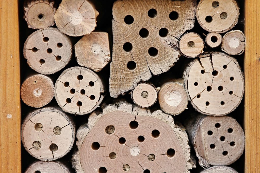 Nisthilfen und Insektenhotels für Wildbienen und Co.