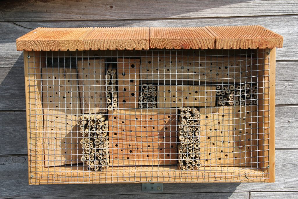 Nisthilfen und Insektenhotels für Wildbienen und Co.