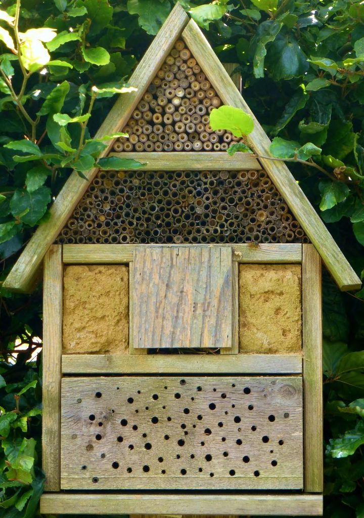 Nisthilfen und Insektenhotels für Wildbienen und Co.