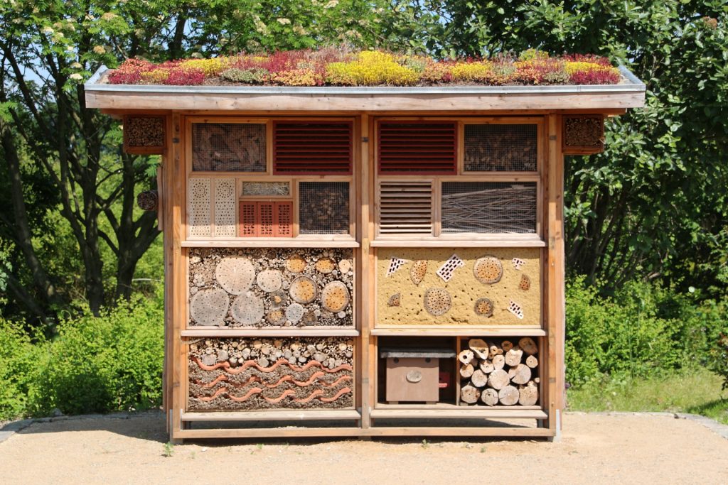 Nisthilfen und Insektenhotels für Wildbienen und Co.