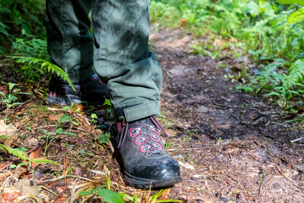 Trekking Schwarzwald - Foto: Sebastian Schröder-Esch/Naturpark Südschwarzwald