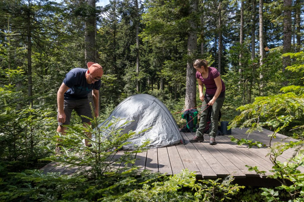 Trekking Schwarzwald - Foto: Sebastian Schröder-Esch/Naturpark Südschwarzwald