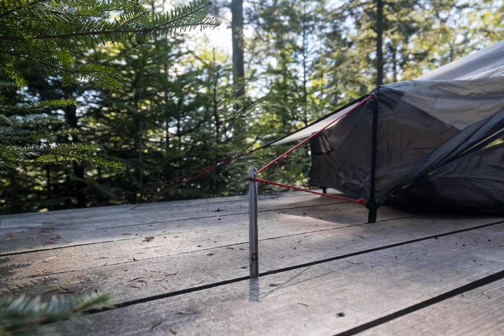 Trekking Schwarzwald - Foto: Sebastian Schröder-Esch/Naturpark Südschwarzwald