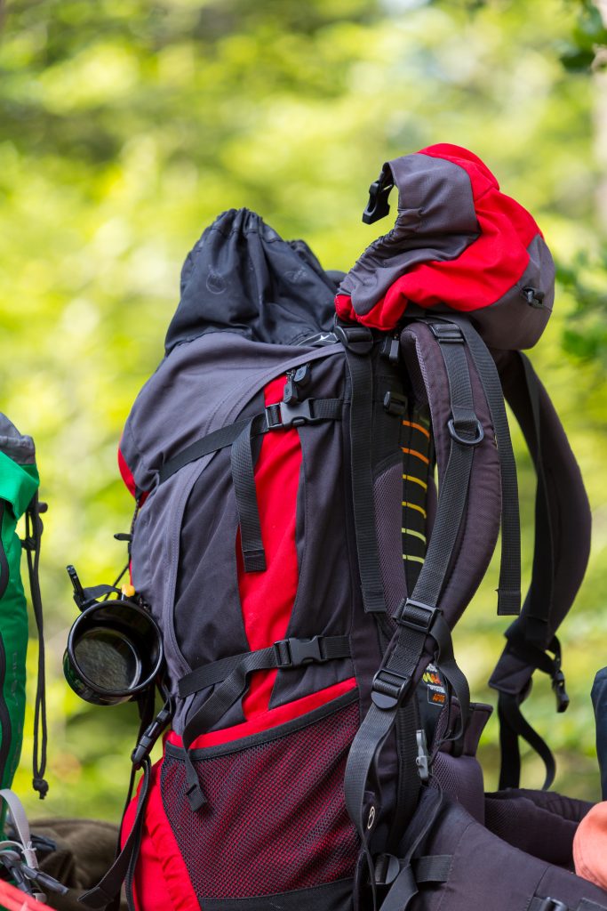 Trekking Schwarzwald - Foto: Sebastian Schröder-Esch/Naturpark Südschwarzwald