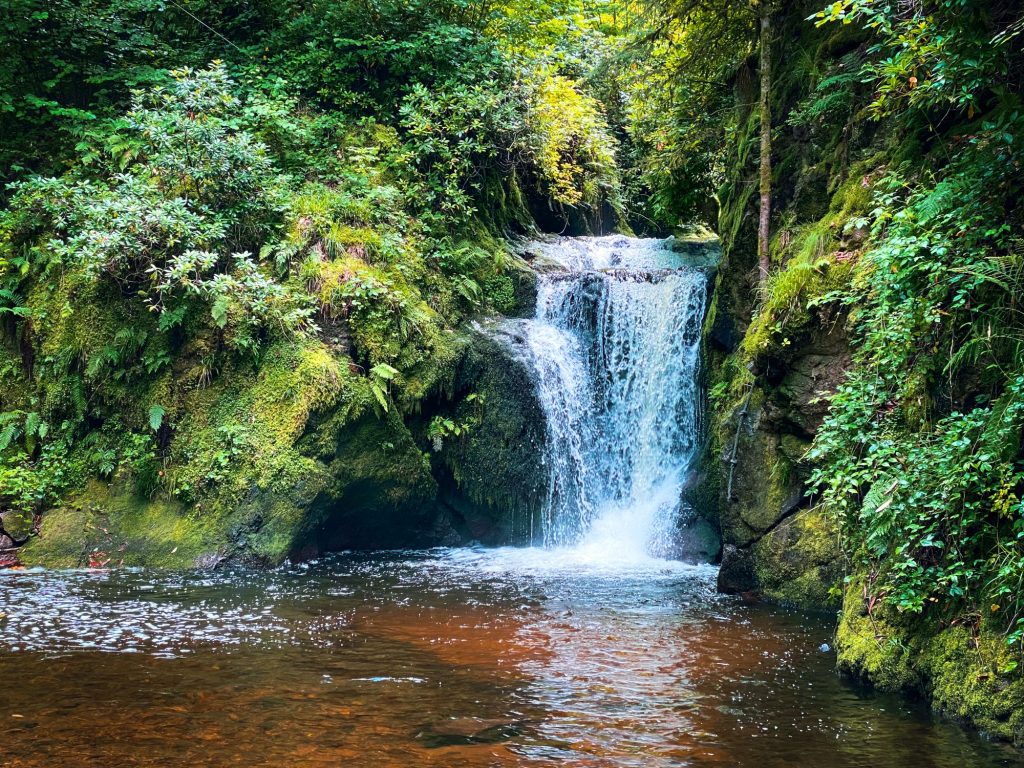 AOK-Gesundheitstipp: Entspannender Urlaubs-Roadtrip zu den Sehenswürdigkeiten des Schwarzwalds