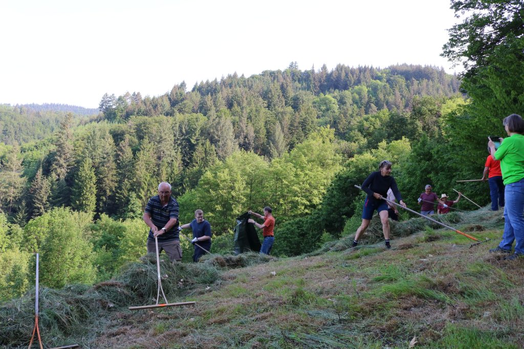 Ehrensache Natur Blühende Gemeinde Lautenbach