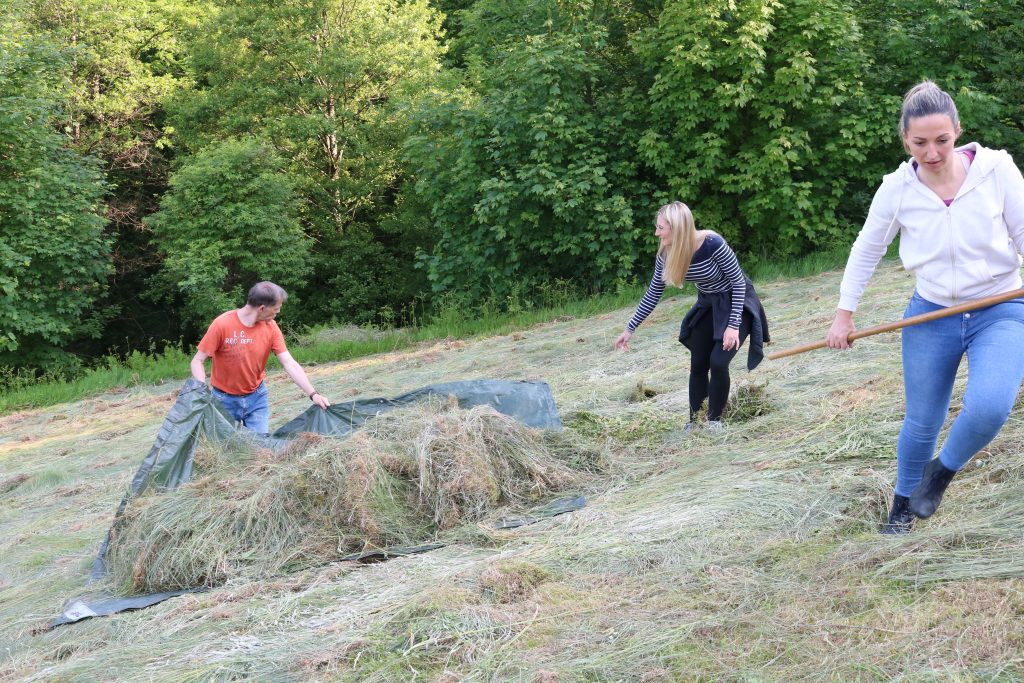 Ehrensache Natur Blühende Gemeinde Lautenbach