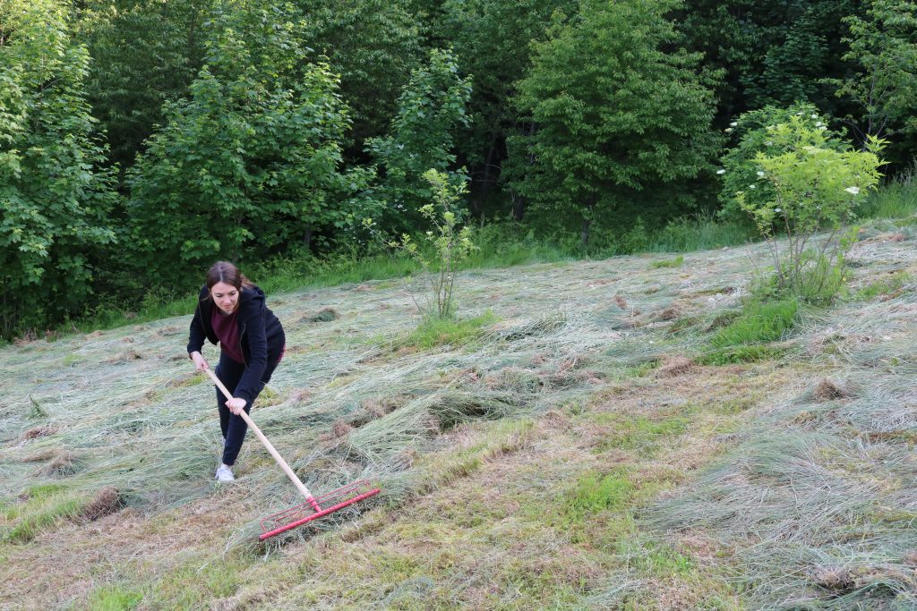 Ehrensache Natur Blühende Gemeinde Lautenbach