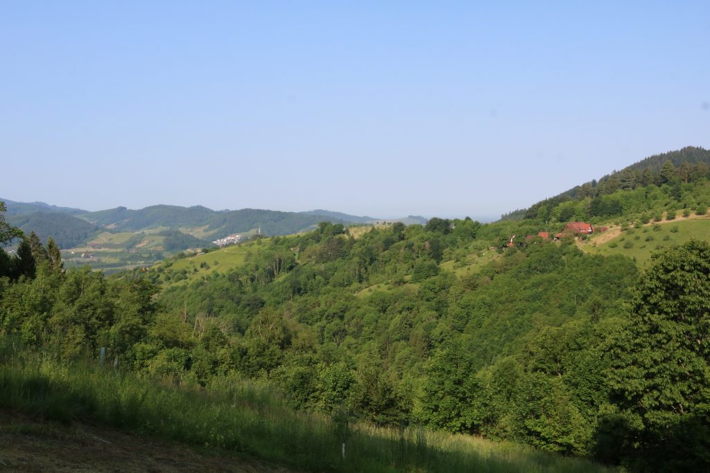 Ehrensache Natur Blühende Gemeinde Lautenbach