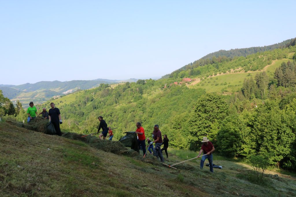 Ehrensache Natur Blühende Gemeinde Lautenbach