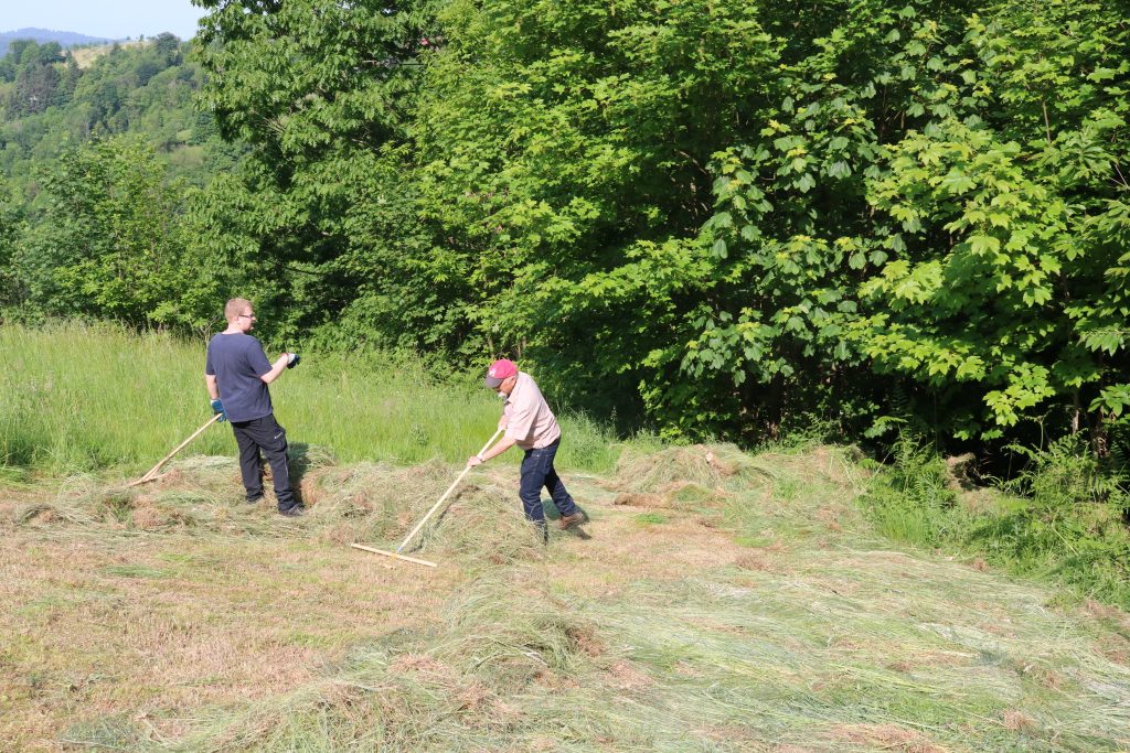 Ehrensache Natur Blühende Gemeinde Lautenbach