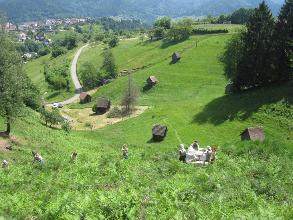 Ehrensache Natur in Forbach-Bermersbach 2023