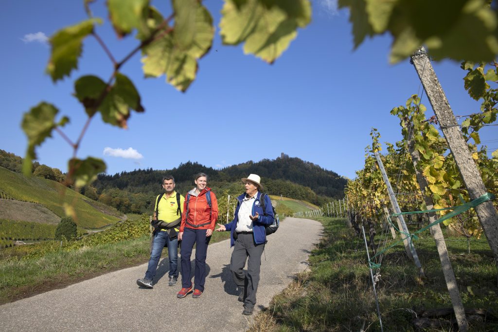Naturpark-AugenBlick-Runde Baden-Baden-Neuweier