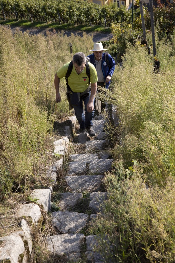 Naturpark-AugenBlick-Runde Baden-Baden-Neuweier