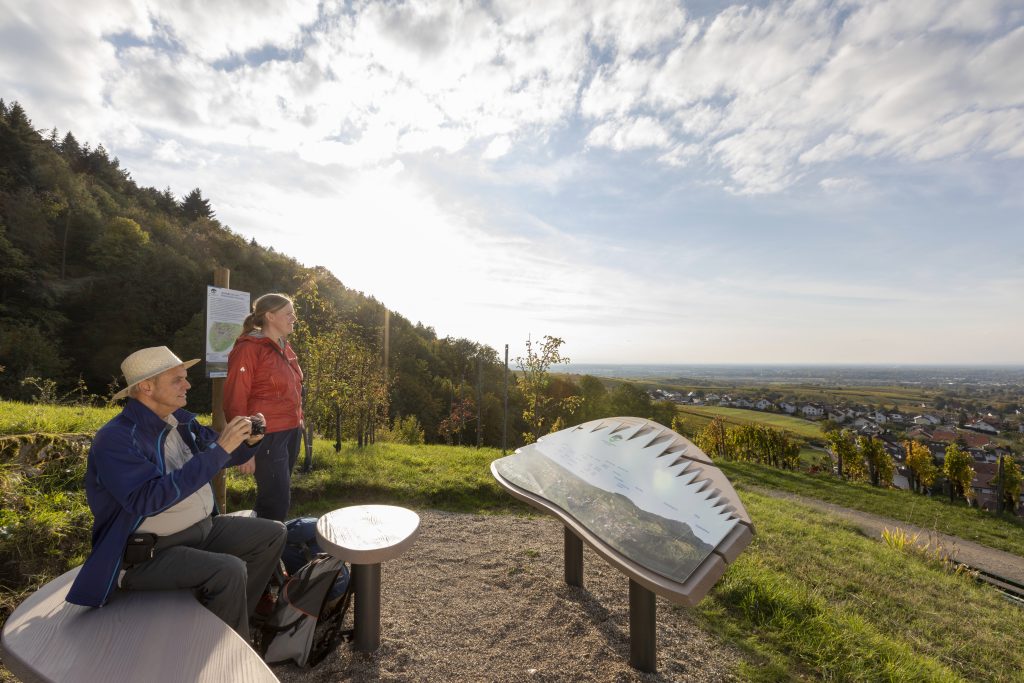 Naturpark-AugenBlick-Runde Baden-Baden-Neuweier