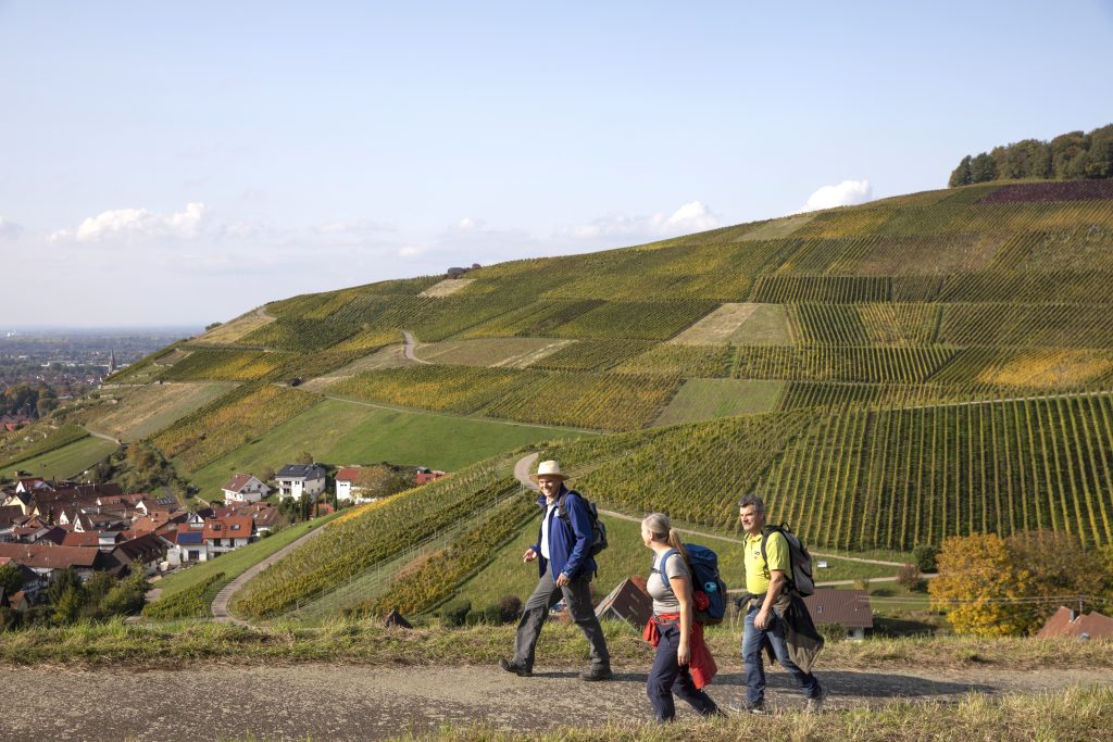 Naturpark-AugenBlick-Runde Baden-Baden-Neuweier
