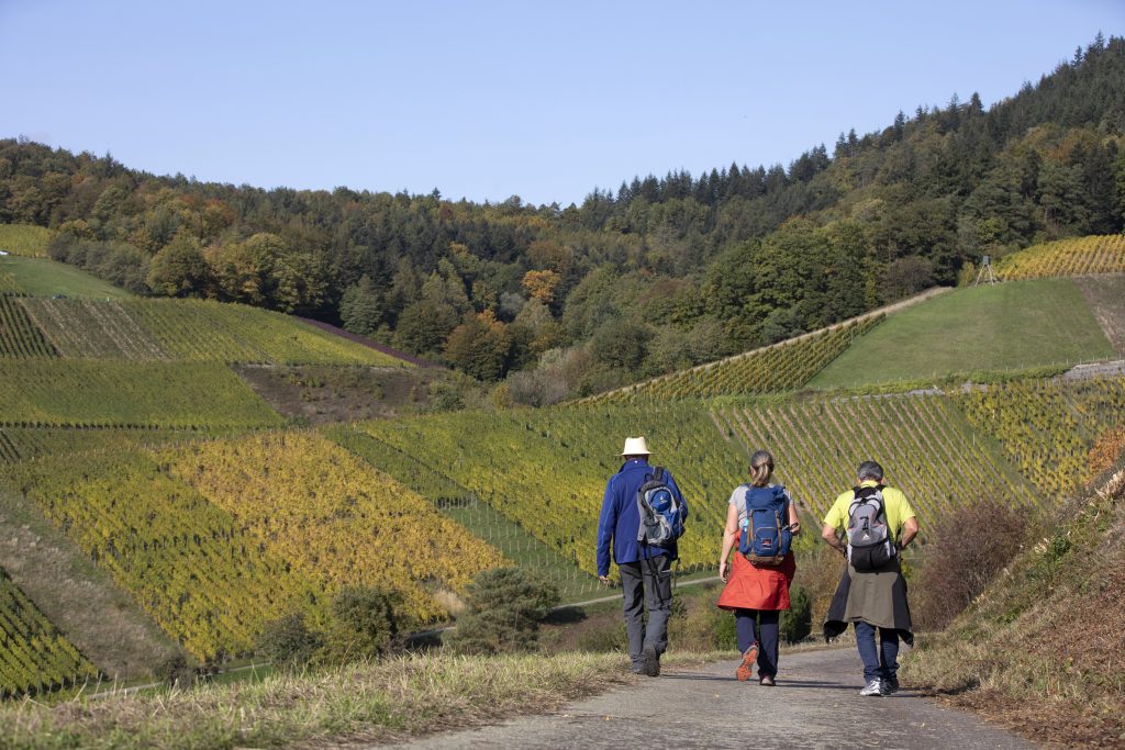 Naturpark-AugenBlick-Runde Baden-Baden-Neuweier