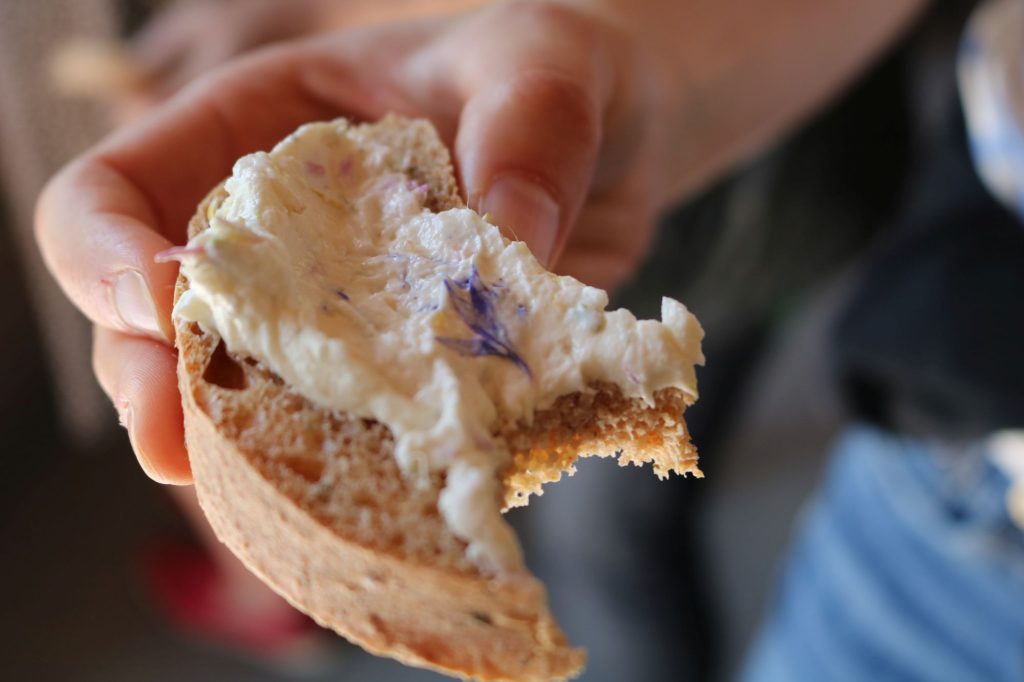 Schwarzwald-Guides: Start in die Sommersaison 2023