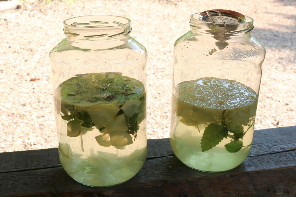 Schwarzwald-Guides: Start in die Sommersaison 2023