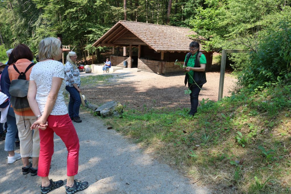 Schwarzwald-Guides: Start in die Sommersaison 2023