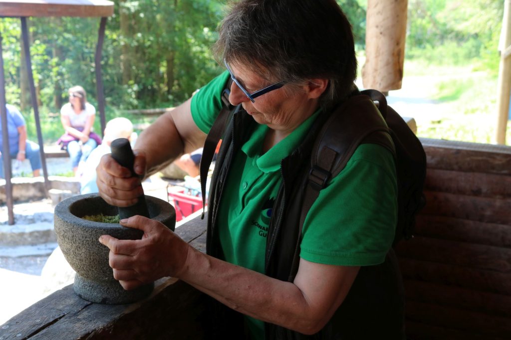 Schwarzwald-Guides: Start in die Sommersaison 2023