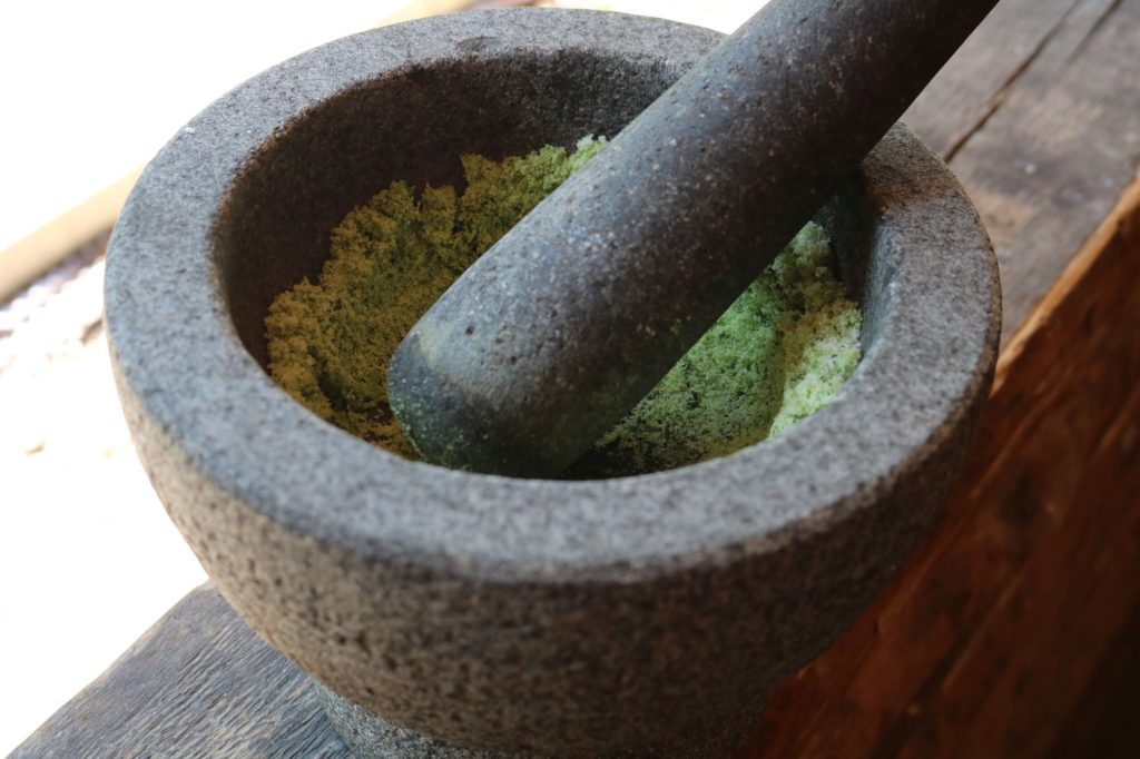 Schwarzwald-Guides: Start in die Sommersaison 2023