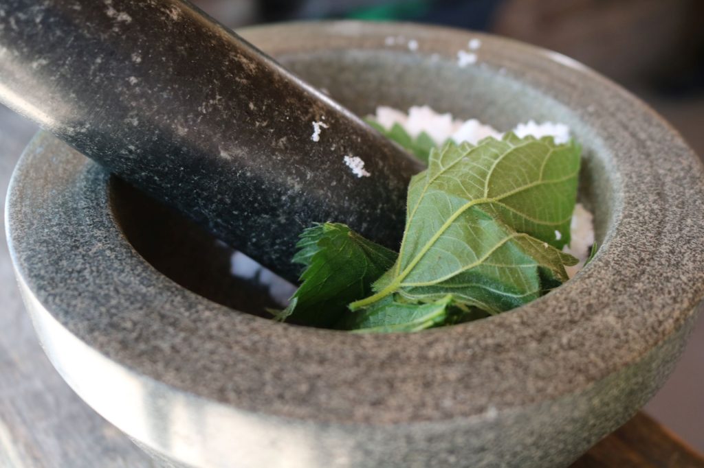 Schwarzwald-Guides: Start in die Sommersaison 2023