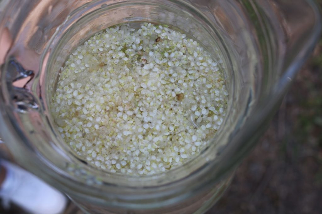 Schwarzwald-Guides: Start in die Sommersaison 2023