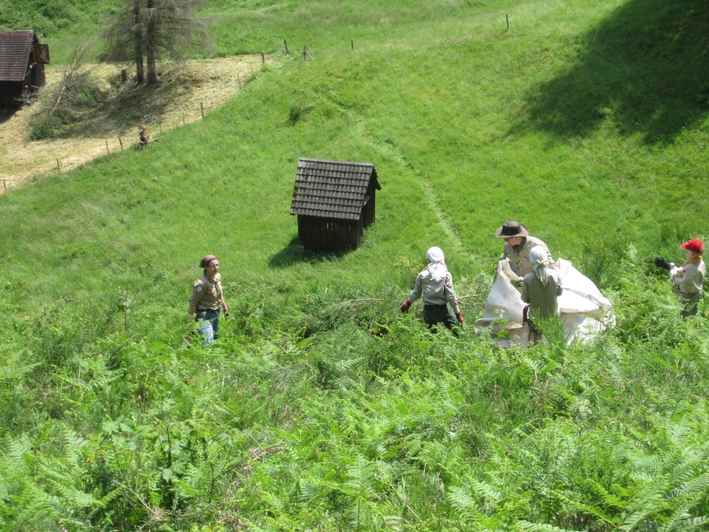 Ehrensache Natur in Forbach-Bermersbach 2023