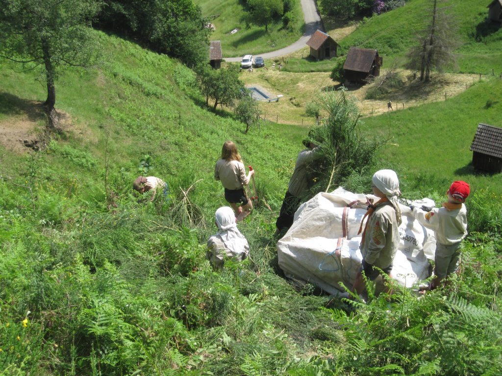 Ehrensache Natur in Forbach-Bermersbach 2023