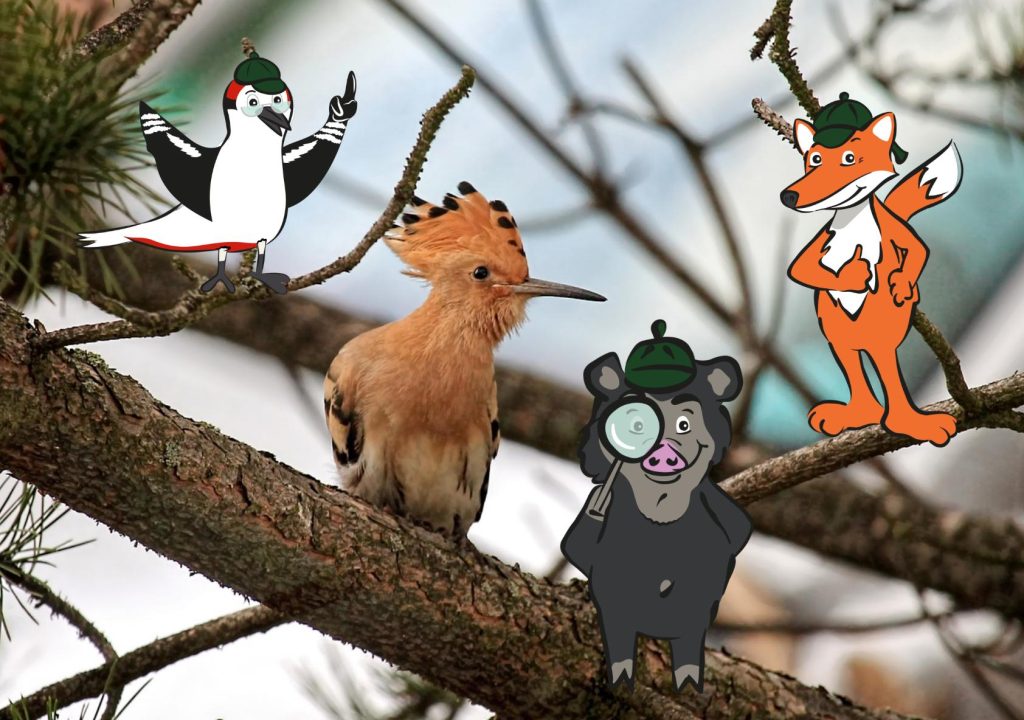 Naturpark-Aktionstag mit dem Karlsruher Zoodirektor