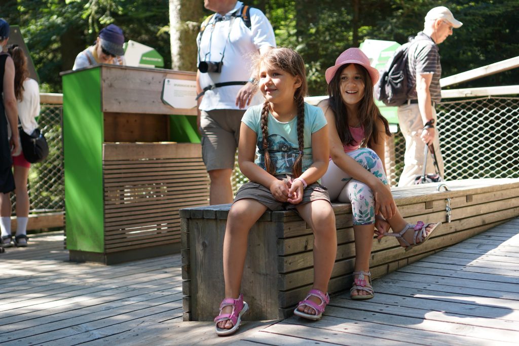 Sommer auf dem Baumwipfelpfad Schwarzwald