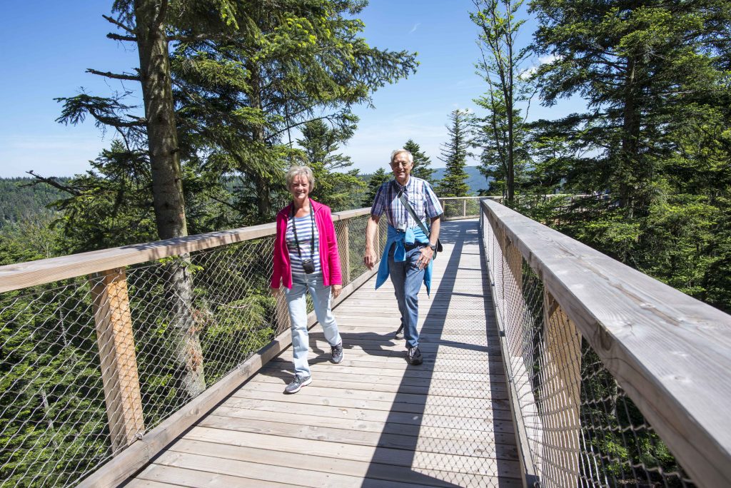 Sommer auf dem Baumwipfelpfad Schwarzwald