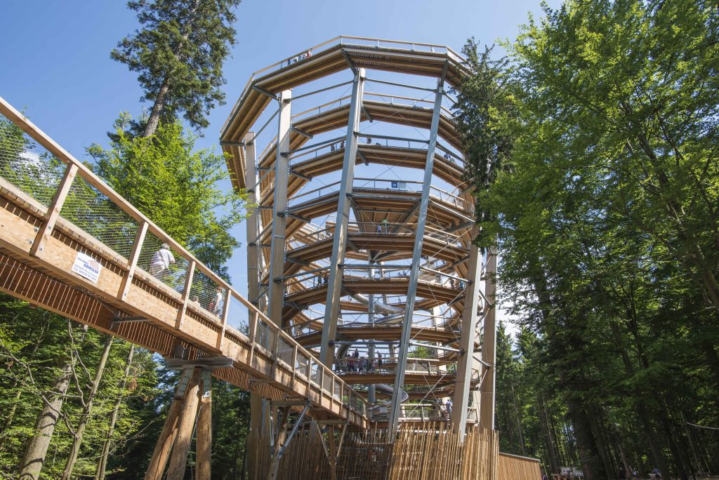 Sommer auf dem Baumwipfelpfad Schwarzwald