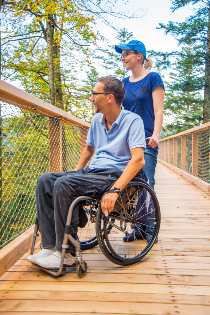 Sommer auf dem Baumwipfelpfad Schwarzwald
